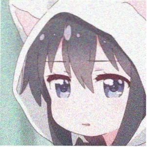 文森特·卡索 不可撤销